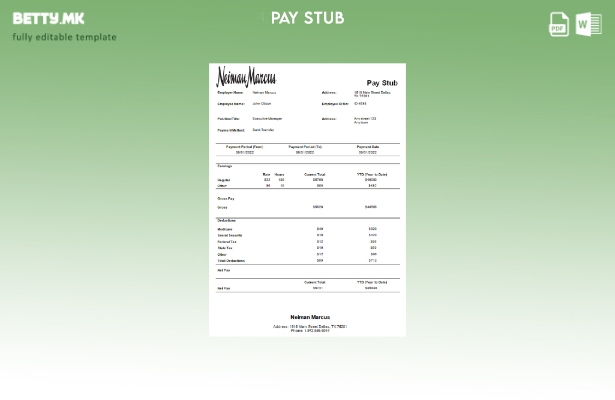 модерен стил САД Neiman Marcus стоковна компанија paystub шаблон